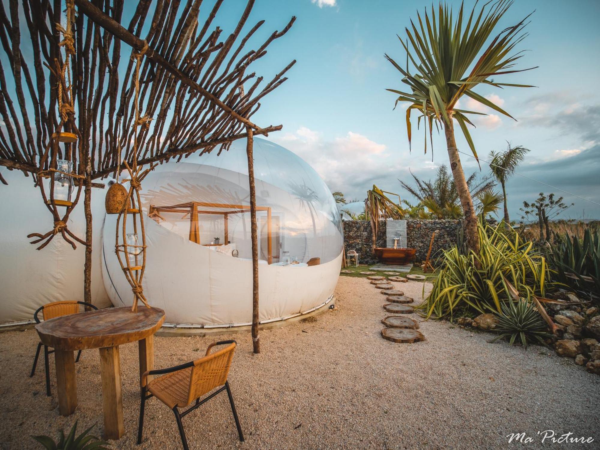 Green Land Bubble Glamping By Mint Cabarete Chambre photo