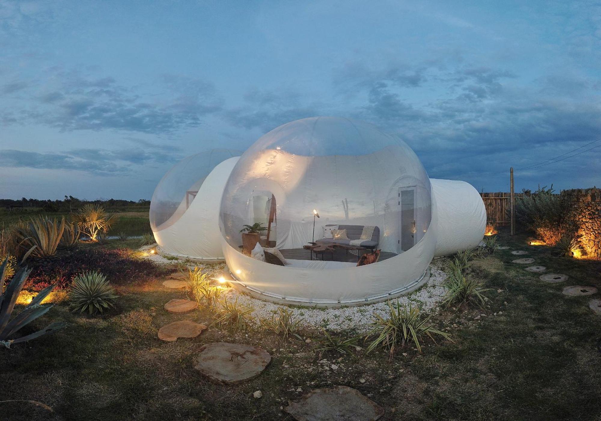 Green Land Bubble Glamping By Mint Cabarete Chambre photo