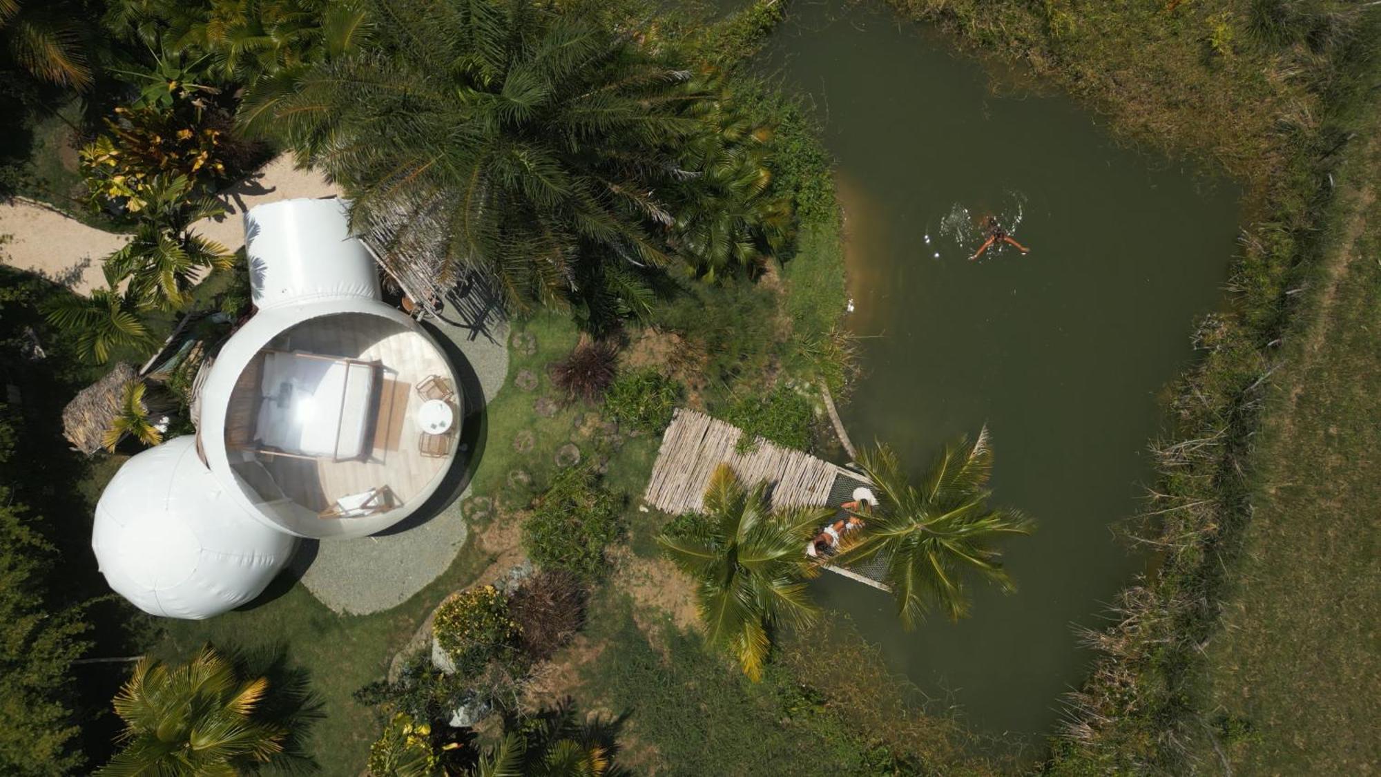 Green Land Bubble Glamping By Mint Cabarete Chambre photo