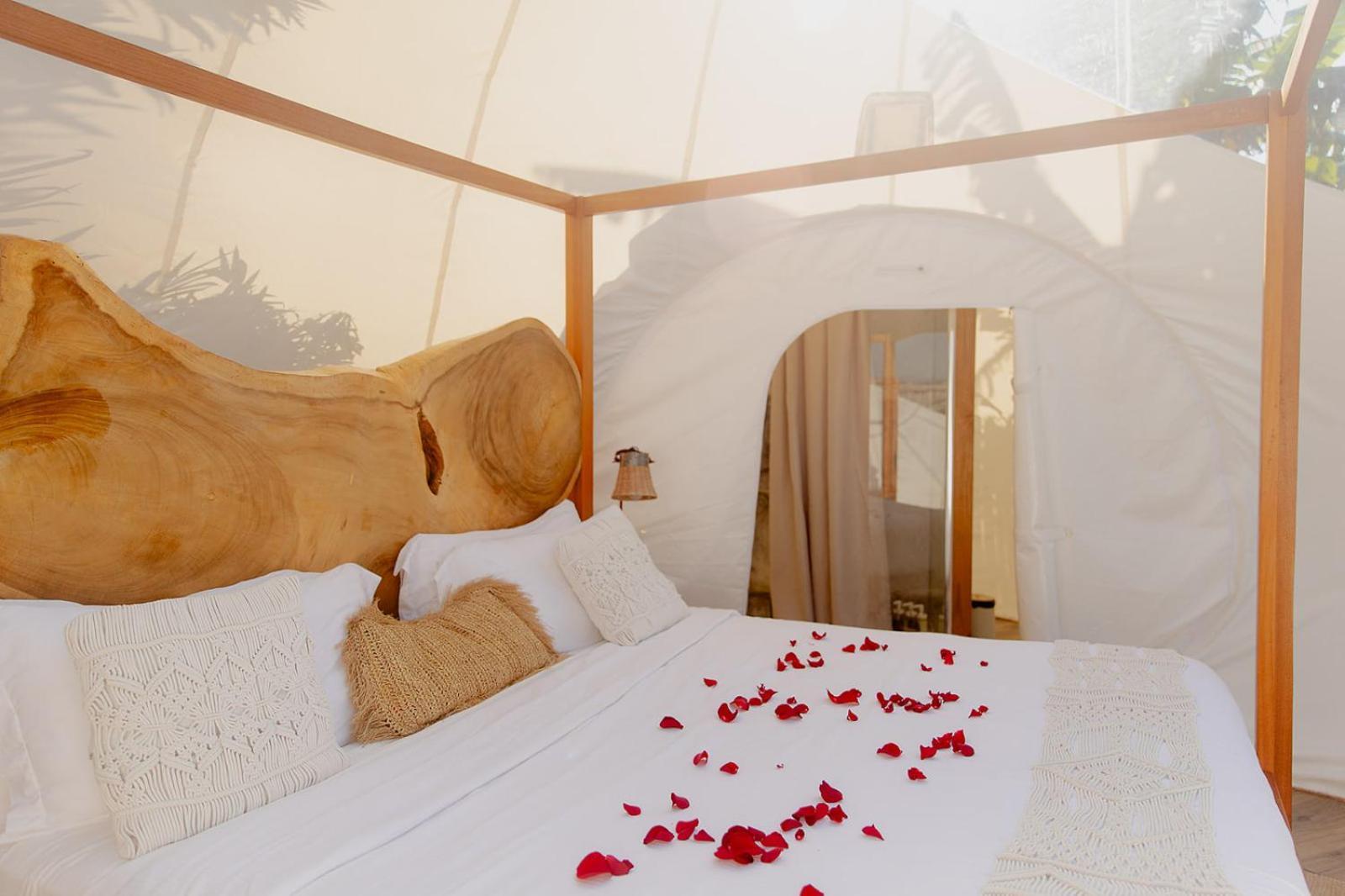 Green Land Bubble Glamping By Mint Cabarete Extérieur photo