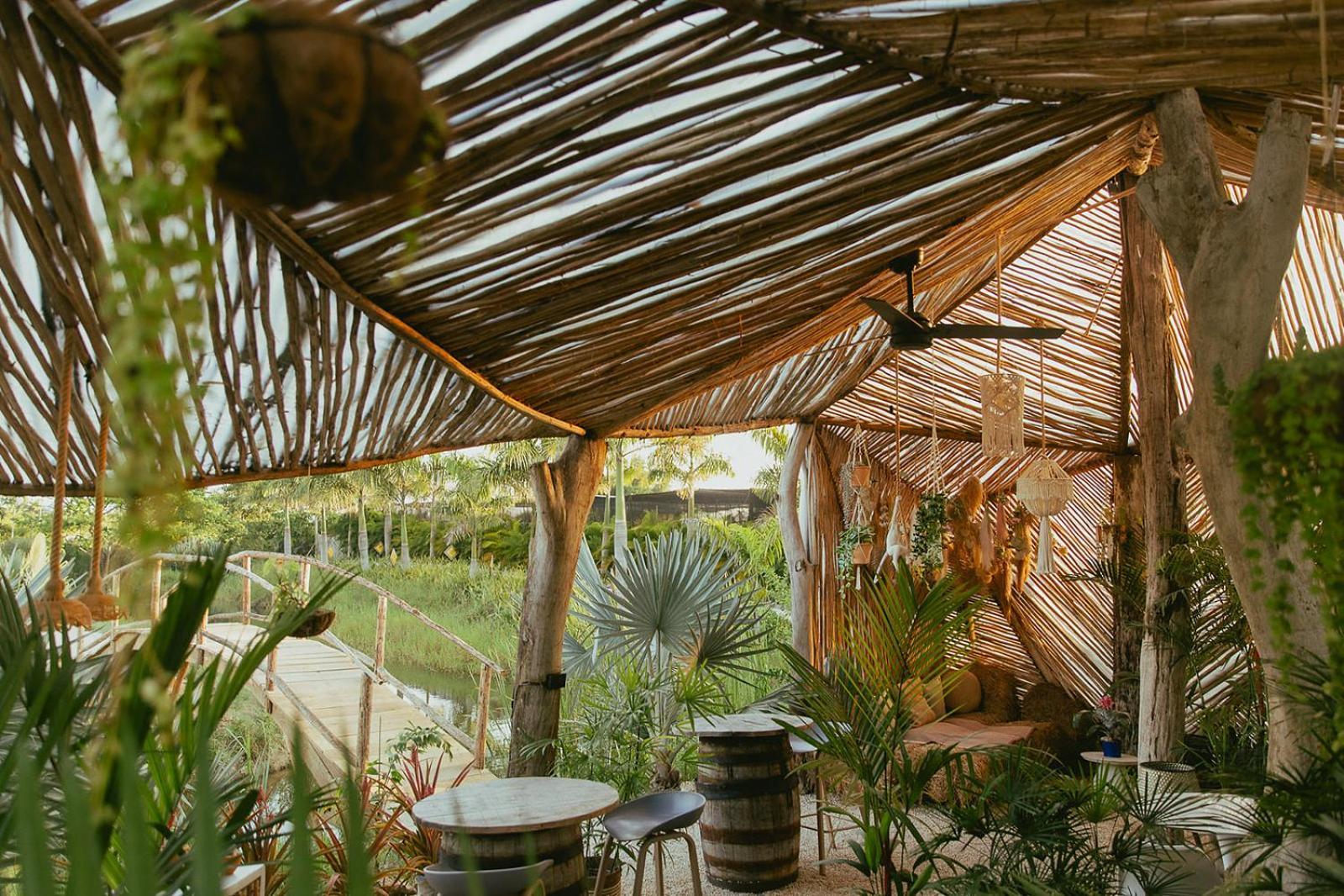 Green Land Bubble Glamping By Mint Cabarete Extérieur photo