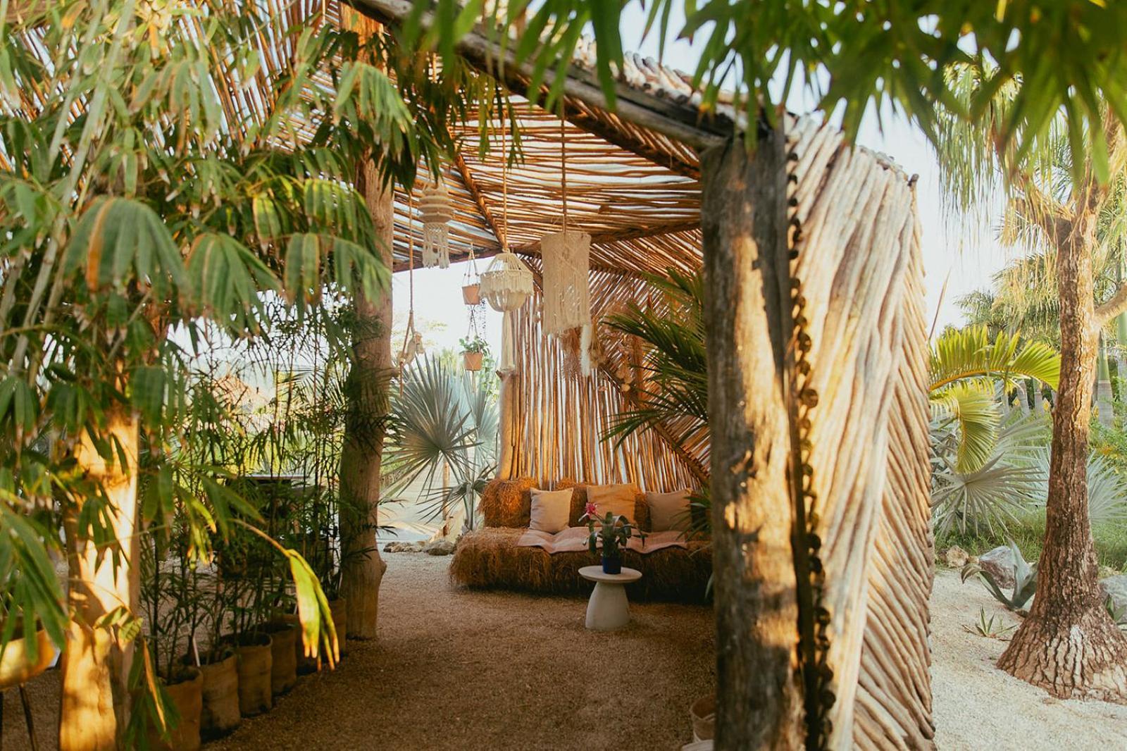 Green Land Bubble Glamping By Mint Cabarete Extérieur photo