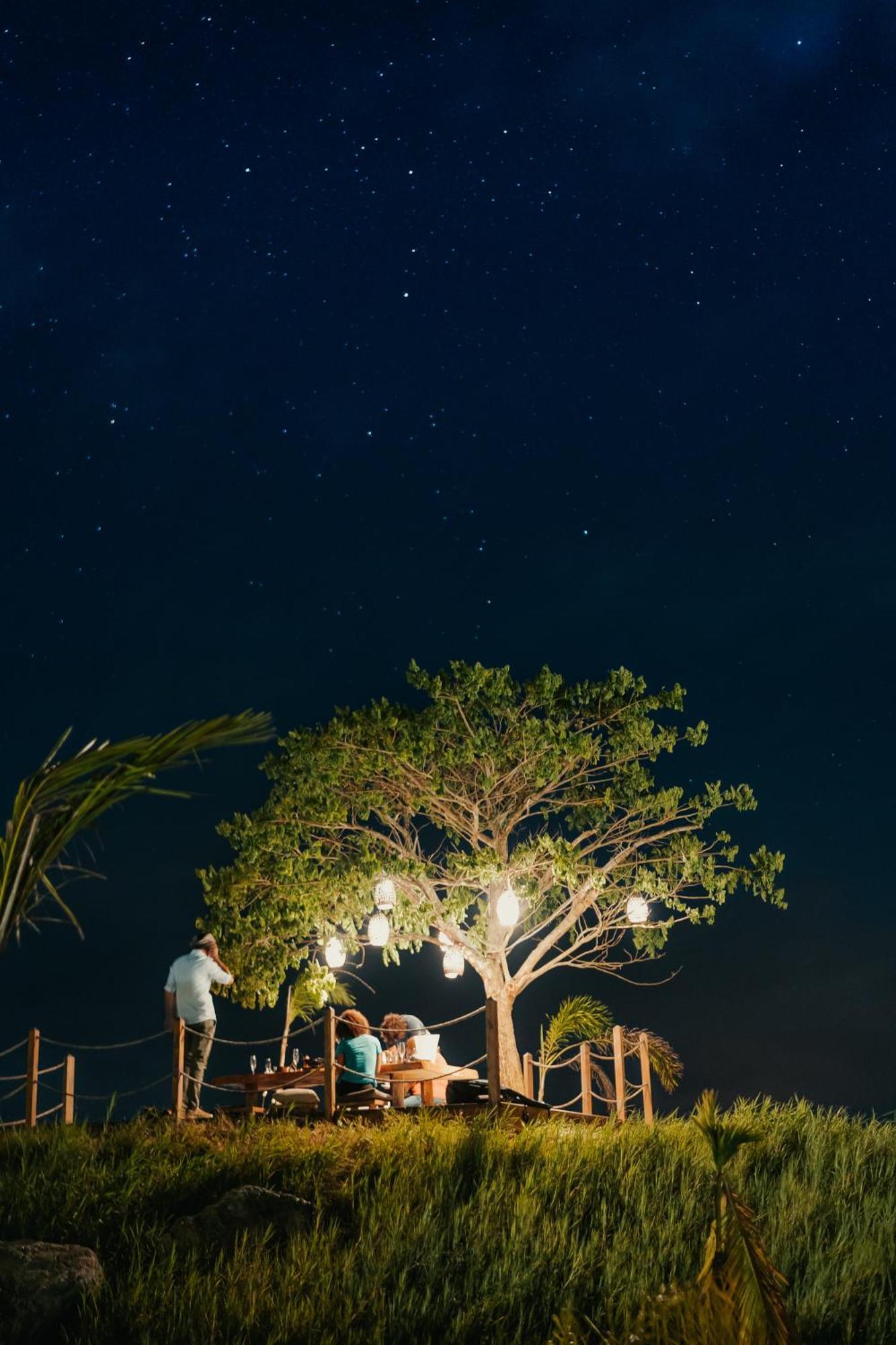 Green Land Bubble Glamping By Mint Cabarete Extérieur photo