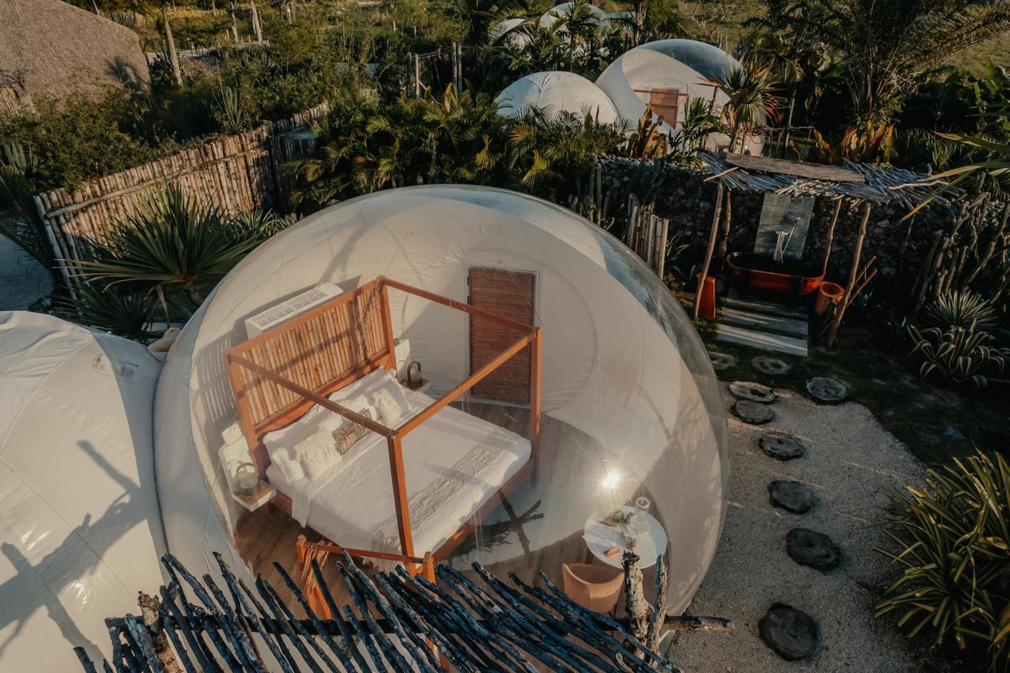 Green Land Bubble Glamping By Mint Cabarete Extérieur photo